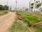 Atala Plot View 2