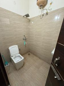 Bathroom Image of 770 Sq.ft 1 BHK Apartment / Flat for rent in Divine World, Sector 115 Mohali for Rs. 16000