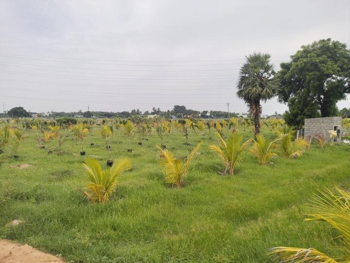 Walajabad Main Image 1