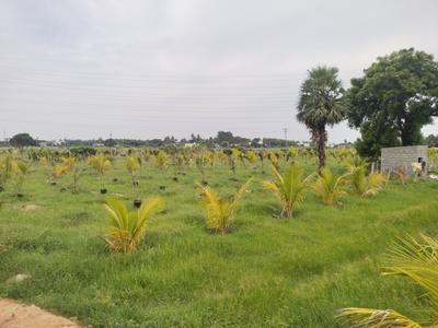 Agricultural Land