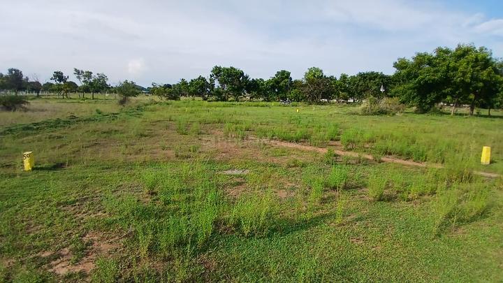 V PLOTS Main Image 1