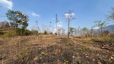 Image of 43560 Sq.ft Residential Plot / Land for sale in Murbad, Thane for Rs. 4500000