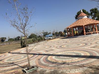 Datoda Plot View 2