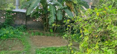 Image of 1602 Sq.ft Residential Plot / Land for sale in Saraswati Puram, Gorakhpur for Rs. 3300000