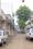 Mali no kuvo society  Plot View 2