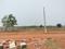Trisulia Main Image 1