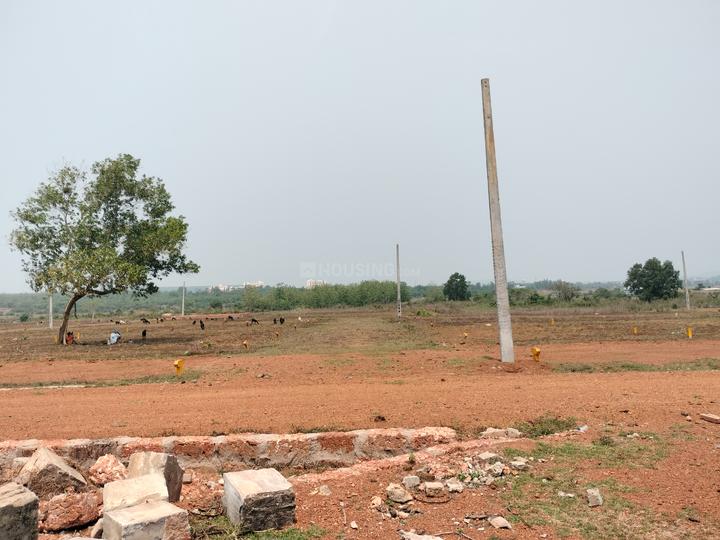 Trisulia Main Image 1