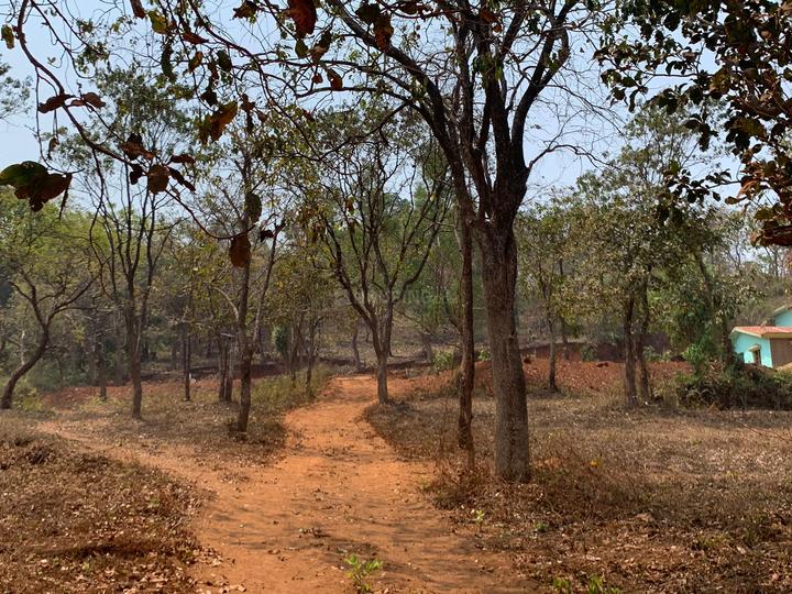 Eldeco Estate, Baberpur Mandi Main Image 1