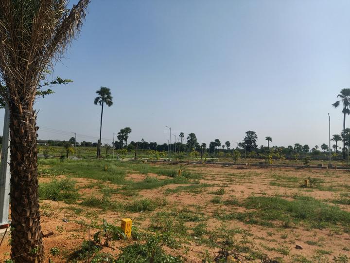 SGD Elite Main Image 1