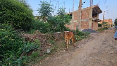 Image of 1800 Sq.ft Residential Plot / Land for sale in Sector 112, Gurgaon for Rs. 23000000