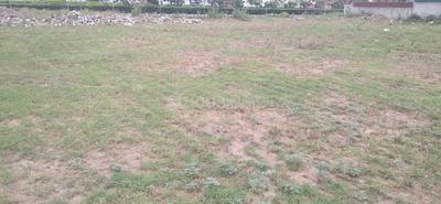 Residential Plot