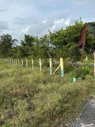 Gauribidanur Main Image 1