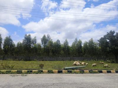 Residential Plot