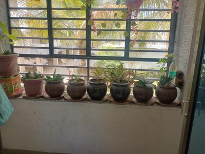Living Room Image of 2400 Sq.ft 3 BHK Apartment / Flat for sale in New Alkapuri Vadodara for Rs. 7000000