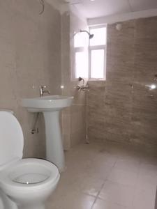 Common Bathroom Image of 1185 Sq.ft 3 BHK Apartment / Flat for sale in Terrace Homes, Noida Extension Greater Noida for Rs. 8542000