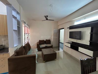 Hall Image of 805 Sq.ft 2 BHK Apartment / Flat for rent in Amrapali Dream Valley 2, Noida Extension Greater Noida for Rs. 24500