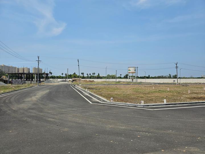 Pacifica Globus Palladium Main Image 1