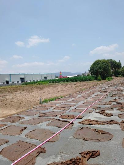 Karvenagar Main Image 1