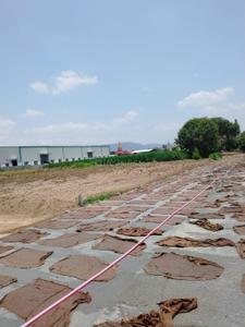 Karvenagar Plot View 1