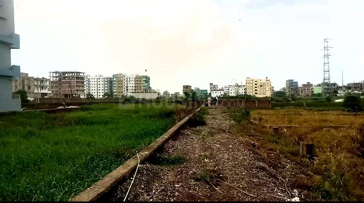 Paijawa Main Image 1