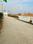 Gayatri vihar Main Image 1