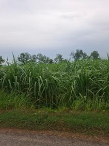 Image of 1500 Sq.ft Residential Plot / Land for sale in Garh Mukteshwar, Hapur for Rs. 5000000