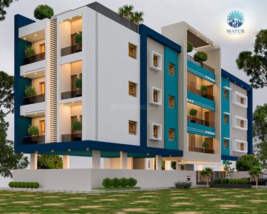 3 BHK Flat