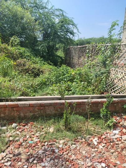 Kailash Mandi road Gaushala Main Image 1