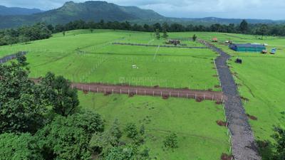 Residential Plot