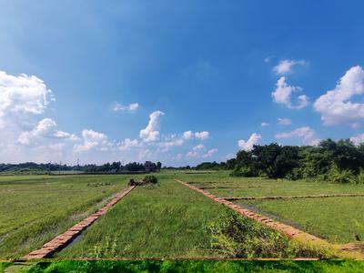 Image of 2000 Sq.ft Residential Plot / Land for sale in CDA Sector VI, Cuttack for Rs. 3400000