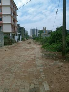 Pahala Plot View 1