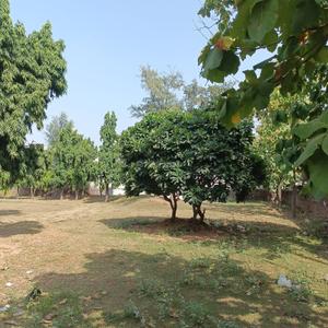 Image of 900 Sq.ft Residential Plot / Land for sale in Maruti Kunj, Gurgaon for Rs. 4600000