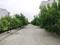 Sector 98 Main Image 1
