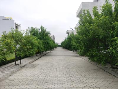 Sector 98 Main Image 1