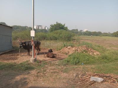 Residential Plot