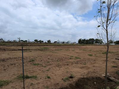Image of 202 Sq.ft Residential Plot / Land for sale in Shadnagar, Ranga Reddy for Rs. 3155001