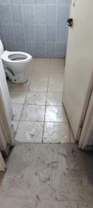 Bathroom Image of 900 Sq.ft 2 BHK Apartment / Flat for sale in ROF Aalayas 1, Sector 102 Gurgaon for Rs. 7900000