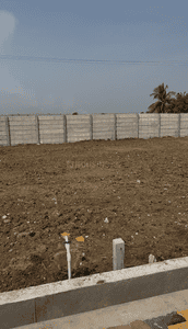 Image of 1500 Sq.ft Residential Plot / Land for sale in Kolamuru, Rajahmundry for Rs. 2500000
