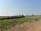 Jamtha Plot View 2