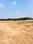 Sushma Joynest AeroCity Plot View 2