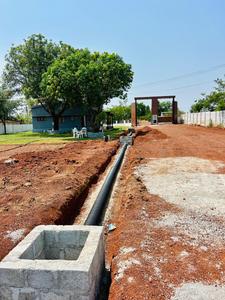 Myron Jade Plot View 2