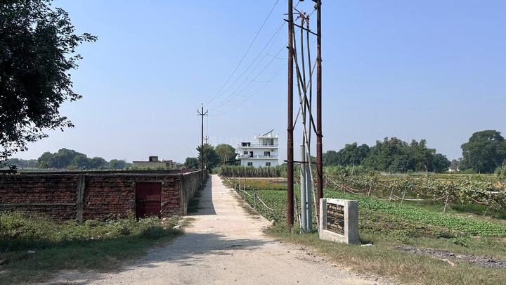 Pradeep Singh Main Image 1