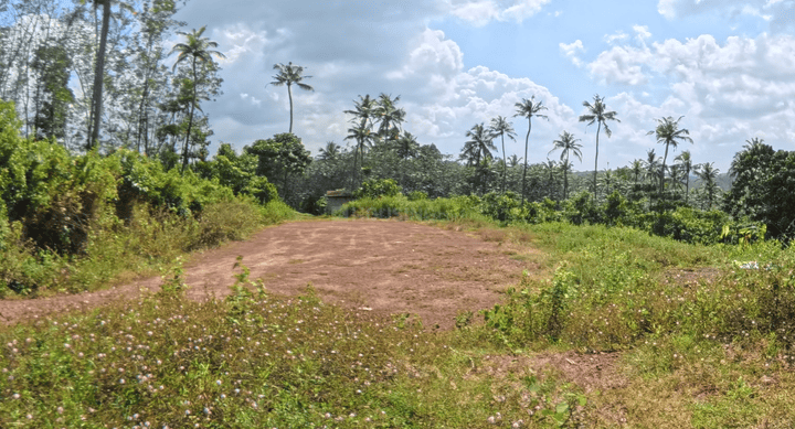 Taluk Kachery Main Image 1