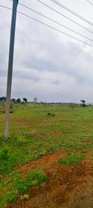 Image of 43560 Sq.ft Residential Plot / Land for sale in Shadnagar, Ranga Reddy for Rs. 15000000