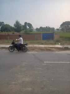 Image of 9520 Sq.ft Residential Plot / Land for sale in Bodh Gaya, Gaya for Rs. 3700000