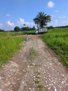 Wander Valley Internal Roads 1