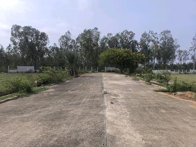 Image of 1200 Sq.ft Residential Plot / Land for sale in Hoskote, Bengaluru for Rs. 3360100