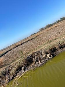Mahamumbai Plots In Sarde Plot View 1