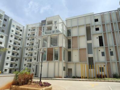 Image of 1217 Sq.ft 2 BHK Apartment / Flat for sale in ARK Oak Tree by ARK Group , Whitefield, Bengaluru for Rs. 14200000
