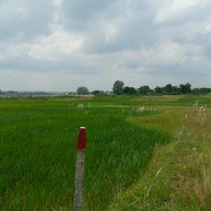 Image of 1000 Sq.ft Residential Plot / Land for sale in Kanke, Ranchi for Rs. 1500000